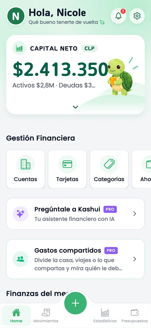Inicio de Kashui con el capital neto del mes